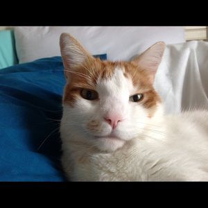 Meet your Posher, Heidi